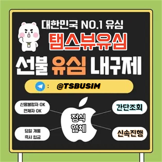 선불유심내구제 비대면당일소액급전